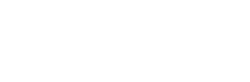 The Willows of Easley at Grace Mgmt Community letter logo.