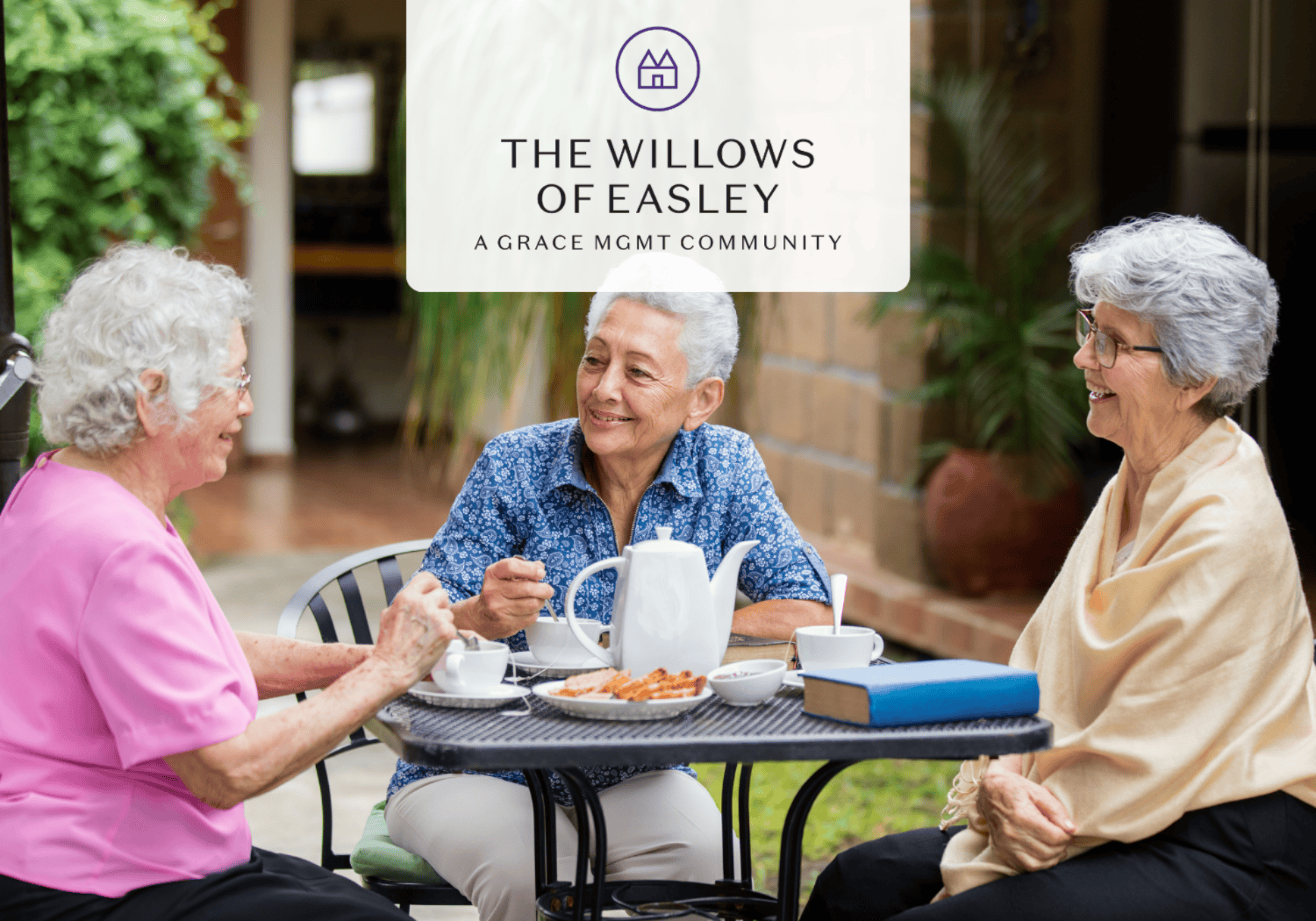 Three seniors chat over tea on an outdoor patio, with cookies and a teapot on the table; logo 'The Willows of Easley' above the scene.