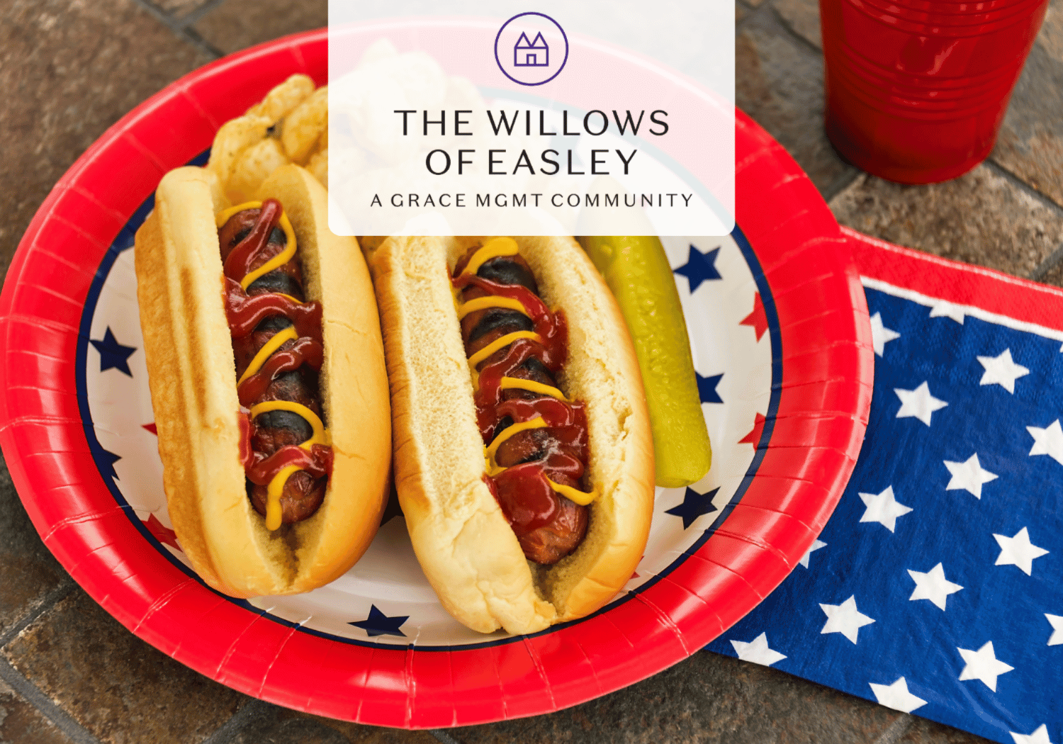 Two hot dogs with ketchup and mustard on a red, star-spangled plate at a patriotic outdoor picnic.